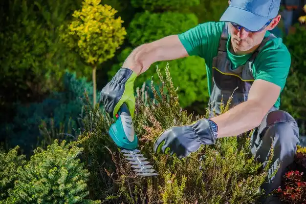 landscaping services Muskegon Heights